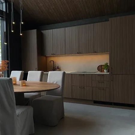 Black Villa, Aurora View Bath & Sauna, Private Design Villa In Lapland *