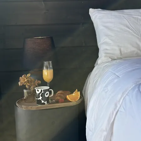 Villa Black Villa, Aurora View Bath & Sauna, Private Design Villa In Lapland *