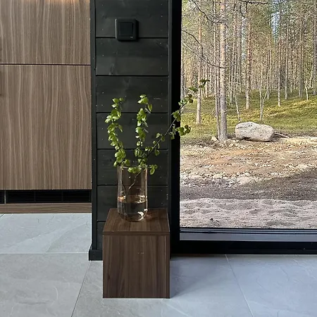 Black Villa, Aurora View Bath & Sauna, Private Design Villa In Lapland