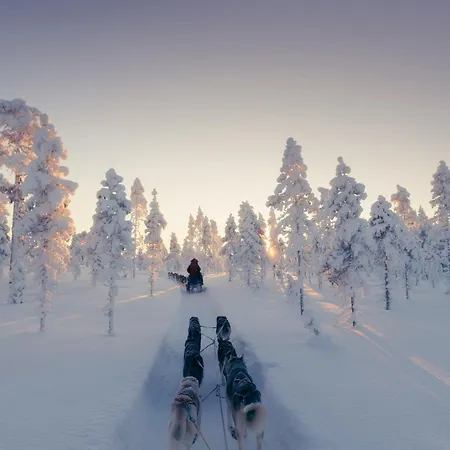 Villa Black Villa, Aurora View Bath & Sauna, Private Design In Lapland Kolari