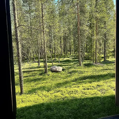 Black Villa, Aurora View Bath & Sauna, Private Design Villa In Lapland