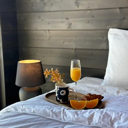 Black Villa, Aurora View Bath & Sauna, Private Design In Lapland Kolari