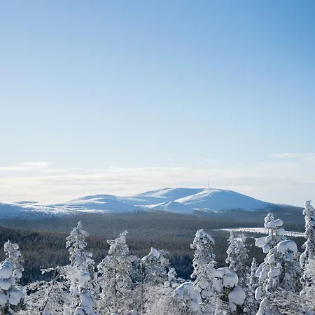 Blackreindeer