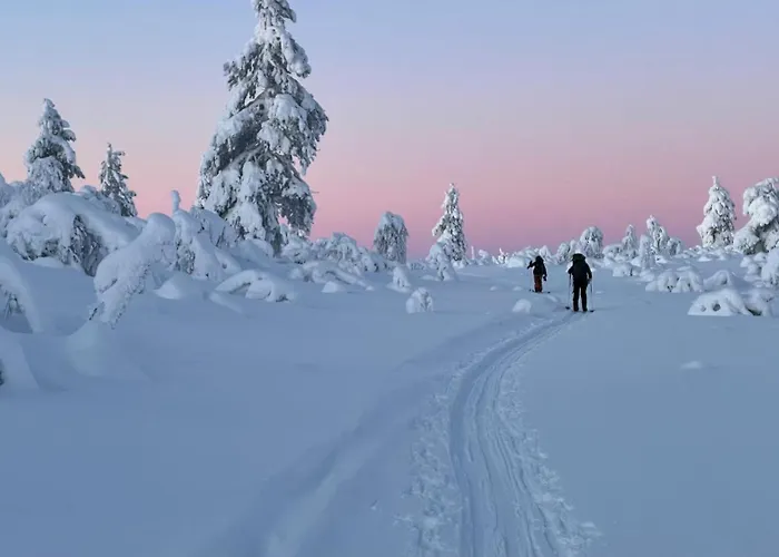 Villa Black Villa, Aurora View Bath & Sauna, Private Design In Lapland Kolari