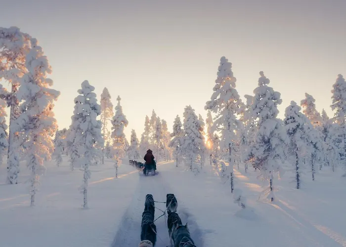 فيلة Black Villa, Aurora View Bath & Sauna, Private Design In Lapland كولاري