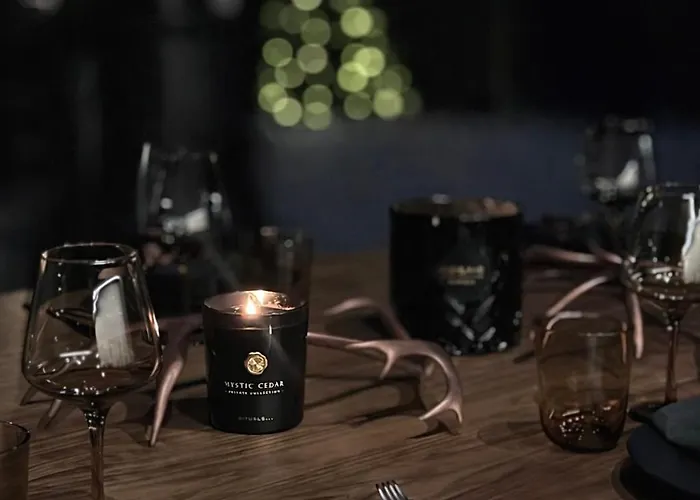 Black Villa, Aurora View Bath&sauna, Private Design In Lapland Villa *